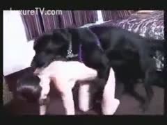 Before having sex, a brunette engages in bestiality intercourse with her dog.
